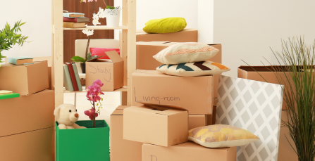 DIY Packing Advice and Tips for Your Move | Crown Relocations NZ Blog